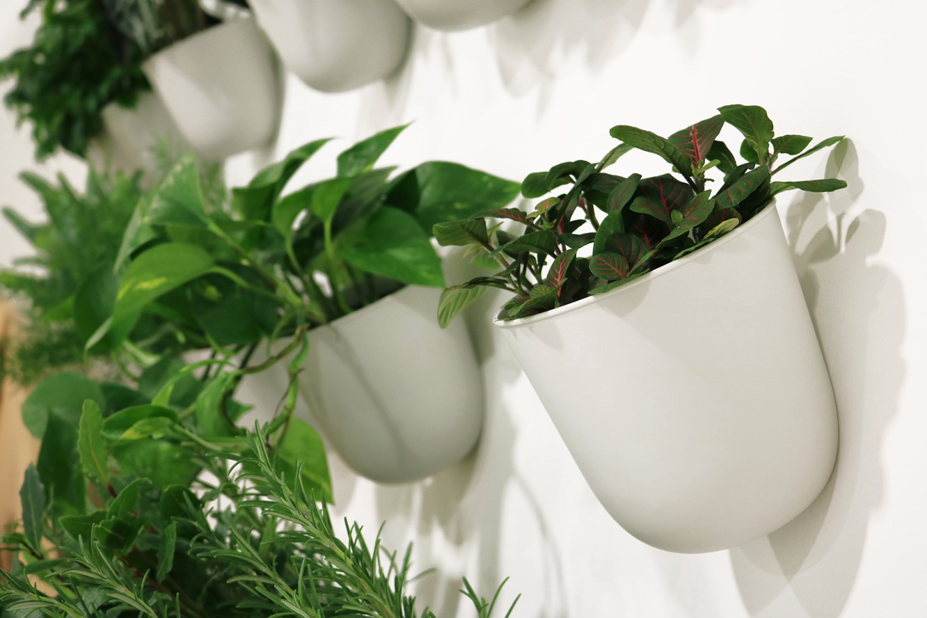 na białej ścianie wiszą przymocowane osłonki na doniczki w kolorze białym. Osłonki wyglądaj jakby były przyklejone do ściany. W osłonkach są schowane rośliny, kt&oacute;re tworzą ciekawe kompozycje na tle ściany