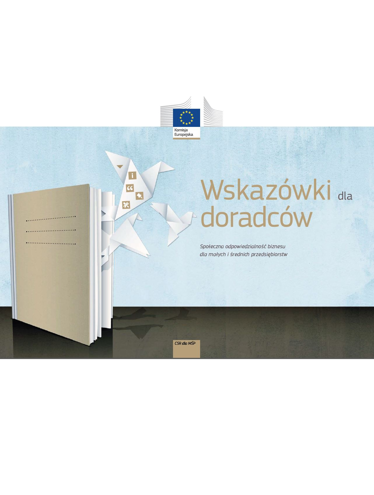 Wskaz&oacute;wki dla doradc&oacute;w CSR