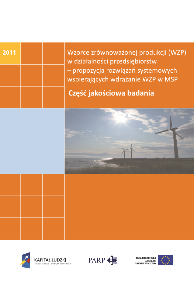 Wzorce zr&oacute;wnoważonej produkcji w działalności przedsiębiorstw &ndash; badanie jakościowe