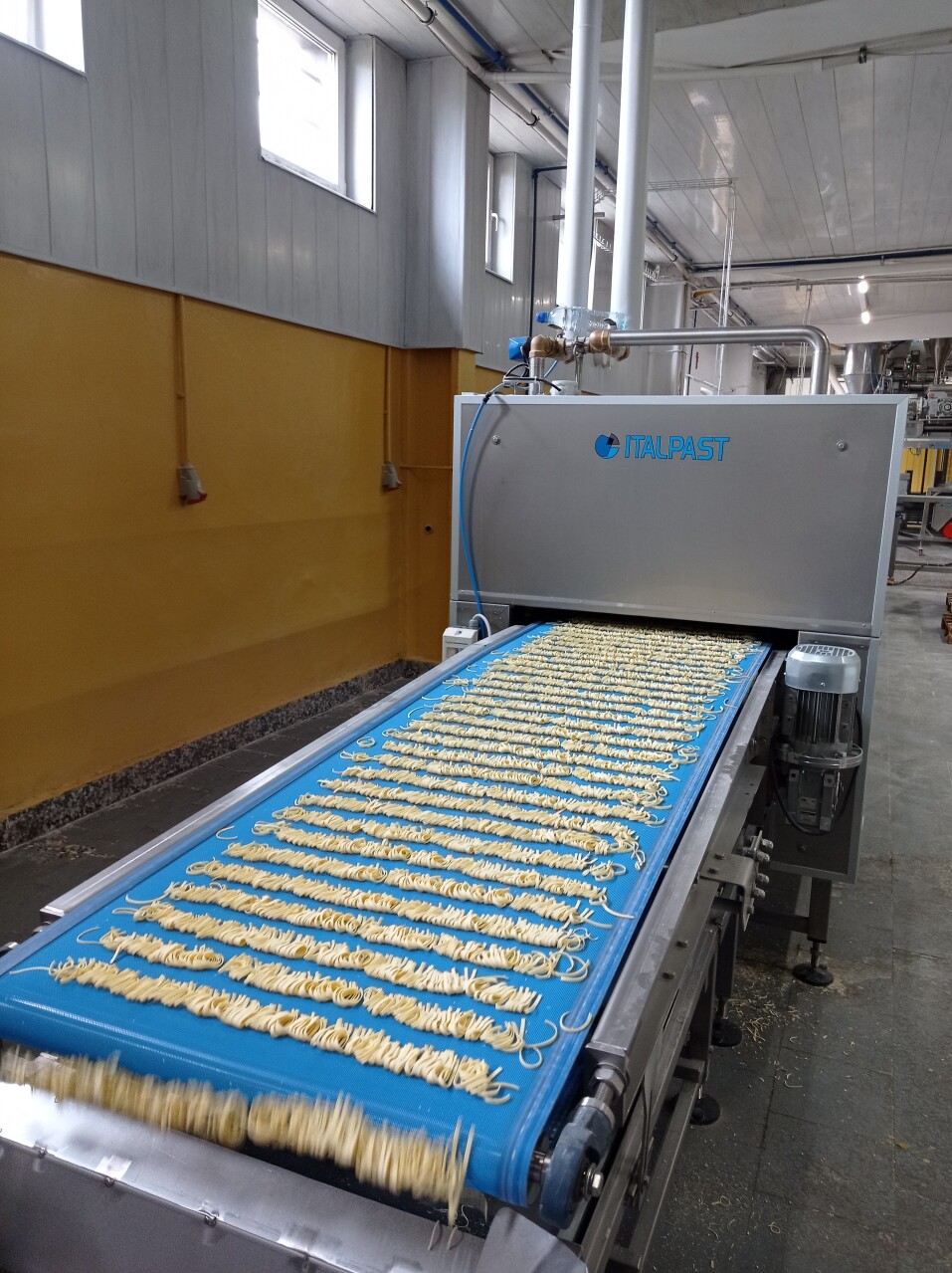 linia produkcyjna makaronu